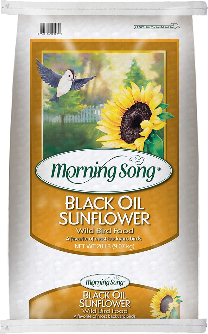 Morning Song 11407 Black Oil Sunflower Wild Bird Food, 20-Pound Animals & Pet Supplies > Pet Supplies > Bird Supplies > Bird Food Morning Song 20 lb  