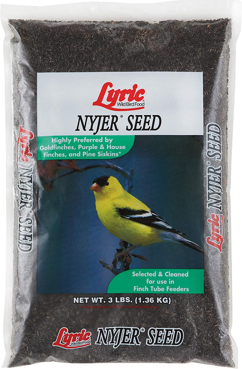 Lyric Nyjer Seed Wild Bird Seed Finch Food Bird Seed, 10 Lb. Bag Animals & Pet Supplies > Pet Supplies > Bird Supplies > Bird Food Lyric Seed 3 lb 
