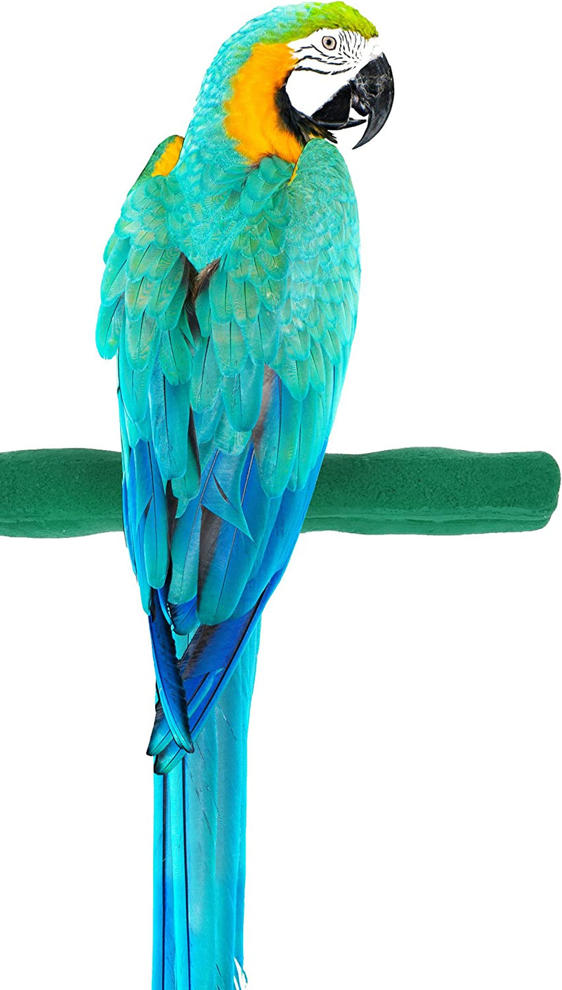 Sweet Feet and Beak Comfort Grip Safety Perch for Bird Cages - Patented Pumice Perch for Birds to Keep Nails and Beaks in Top Condition - Safe Easy to Install Bird Cage Accessories - M 8.5" Animals & Pet Supplies > Pet Supplies > Bird Supplies Sweet Feet and Beak Green Large 13" 