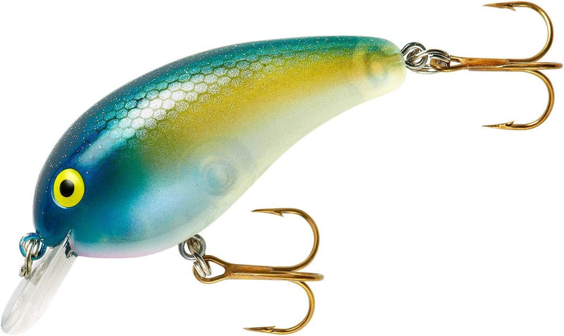 Cotton Cordell Big O Square-Lip Crankbait Fishing Lure Sporting Goods > Outdoor Recreation > Fishing > Fishing Tackle > Fishing Baits & Lures Pradco Outdoor Brands Blue Back Herring 2 inch 
