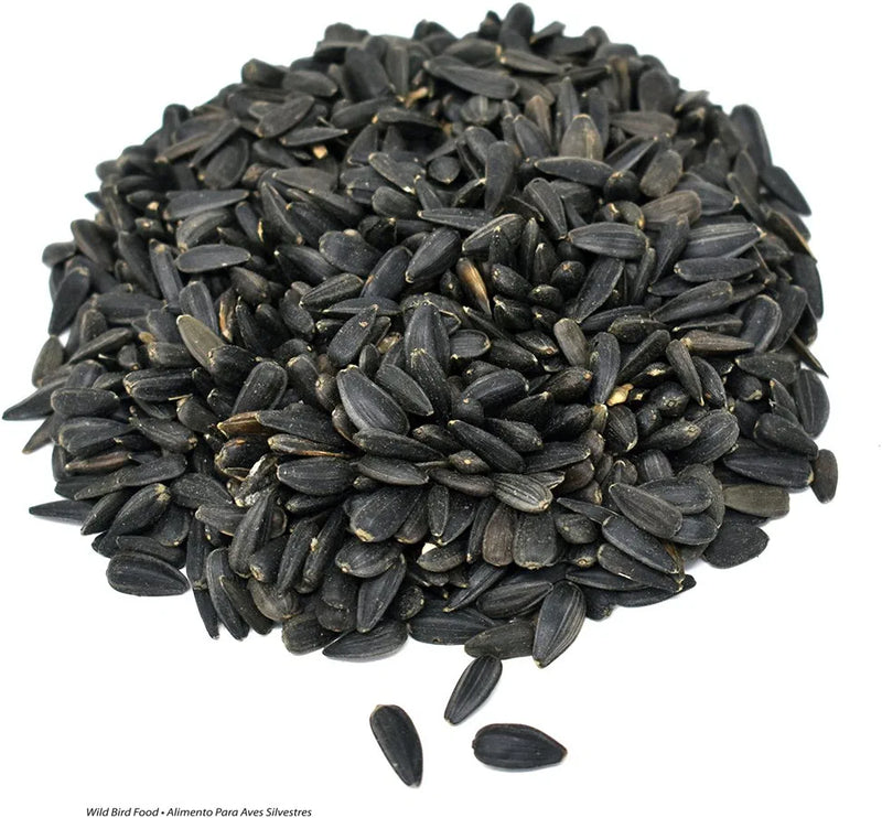 Valley Splendor 100033658 Black Oil Sunflower Seeds Wild Bird Food, 5 Pound (Pack of 1)
