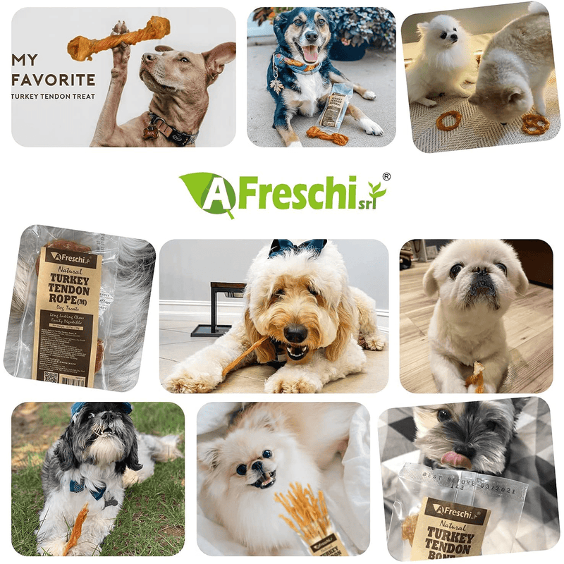 AFreschi Turkey Tendon for Dogs, Premium All-Natural, Hypoallergenic, Dog Chew Treat, Easy to Digest, Alternative to Rawhide, Ingredient Sourced from USA, (Small) Home & Garden > Decor > Seasonal & Holiday Decorations& Garden > Decor > Seasonal & Holiday Decorations A Freschi srl   
