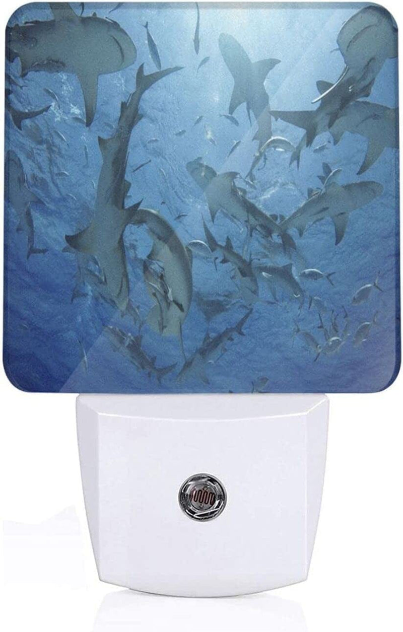 Allgobee Night Light Underwater-World-Funny-Shark Dusk to Dawn Sensor,Automated on Off,Home Decor for Kitchen,Bathroom,Bedroom Home & Garden > Pool & Spa > Pool & Spa Accessories Allgobee   