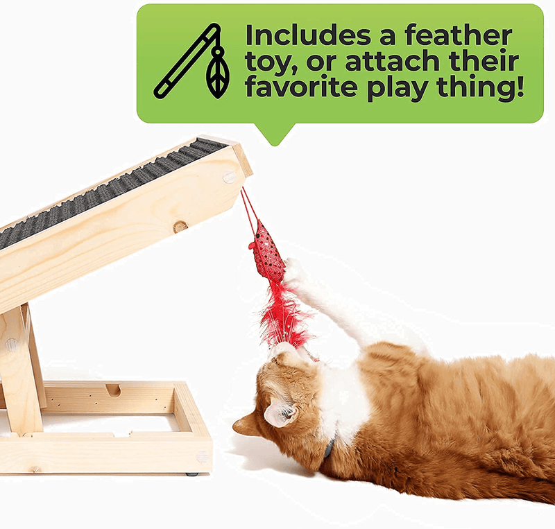 Alpha Paw Scratchyramp 2-In-1 Cat Ramp & Cat Scratcher - Pet Scratching Incline with Replaceable Carpet & Adjustable Height - Scratch Mat & Mobility Ramp for House Cats & Indoor Dogs Animals & Pet Supplies > Pet Supplies > Cat Supplies > Cat Beds Alpha Paw   