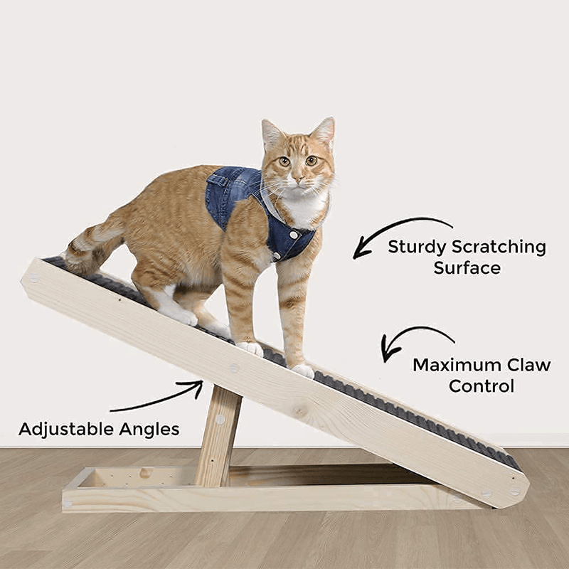 Alpha Paw Scratchyramp 2-In-1 Cat Ramp & Cat Scratcher - Pet Scratching Incline with Replaceable Carpet & Adjustable Height - Scratch Mat & Mobility Ramp for House Cats & Indoor Dogs Animals & Pet Supplies > Pet Supplies > Cat Supplies > Cat Beds Alpha Paw   