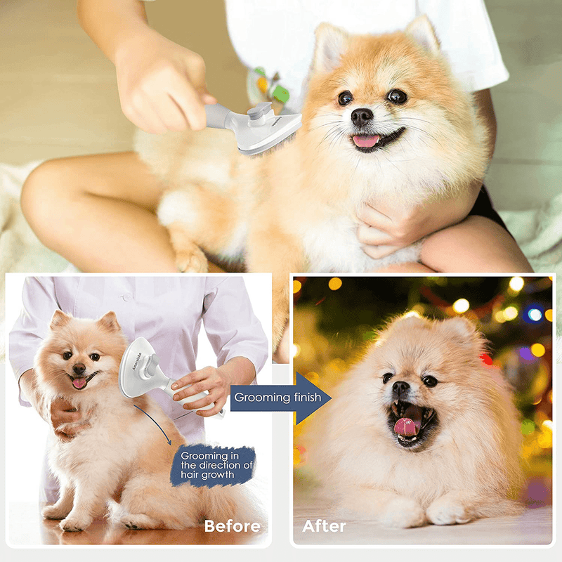 Amareisbe Self Cleaning Slicker Brush, Dog & Cat Brush with Massage Particles, Grooming Shedding Tool for Short and Long Hair - Gently Removes Loose Undercoat, Mats and Tangled Hair
