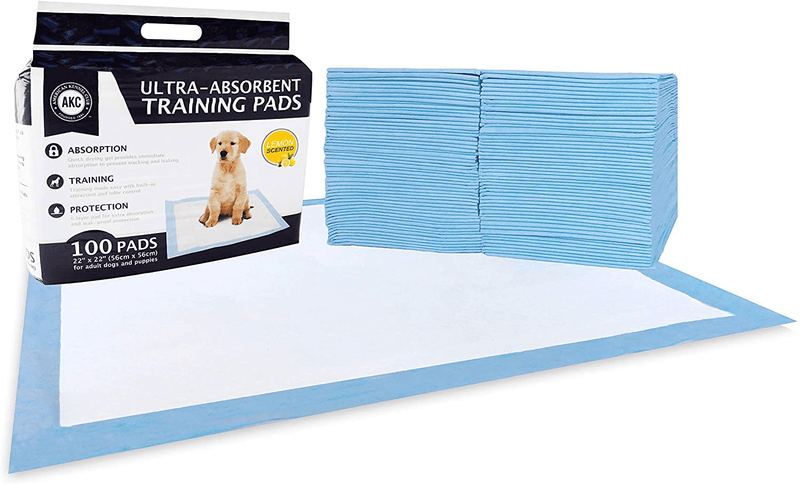 American Kennel Club Pet Training and Puppy Pads, Regular and Extra Large Animals & Pet Supplies > Pet Supplies > Dog Supplies > Dog Diaper Pads & Liners American Kennel Club Lemon Scented 22" x 22" - Pack of 100 
