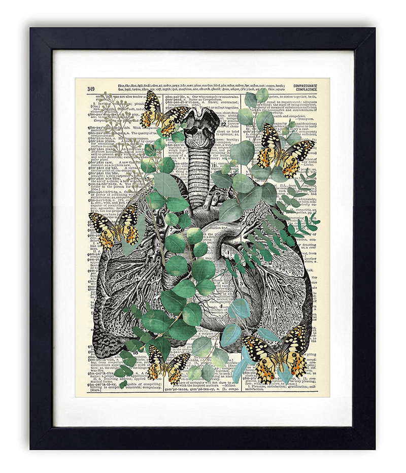 Anatomy with Eucalyptus and Butterflies, Vintage Dictionary Art Print, Modern Contemporary Wall Art For Home Decor, Boho Art Print Poster, Farmhouse Wall Decor 8x10 Inches, Unframed (Skull