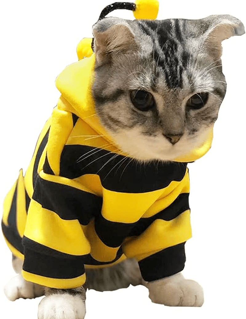 Anelekor Pet Bee Halloween Costume Dog Hoodies Cat Holiday Cosplay Warm Clothes Puppy Cute Hooded Coat Christmas Outfits for Cat and Small Dogs Animals & Pet Supplies > Pet Supplies > Cat Supplies > Cat Apparel Anelekor Yellow XS 