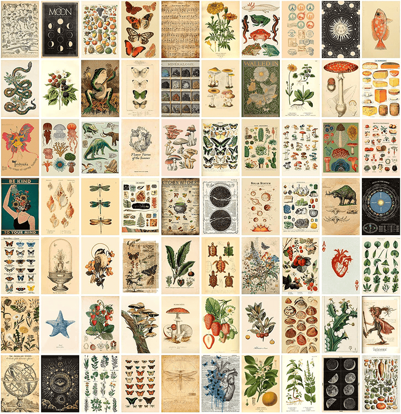 ANERZA Vintage Wall Collage Kit Aesthetic Pictures, Cottagecore Room Decor for Bedroom Aesthetic, Posters for Room Aesthetic, Cute Boho Photo Wall Decor for Teen Girls, Dorm Green Wall Art (70 pcs) Home & Garden > Decor > Artwork > Posters, Prints, & Visual Artwork ANERZA Default Title  
