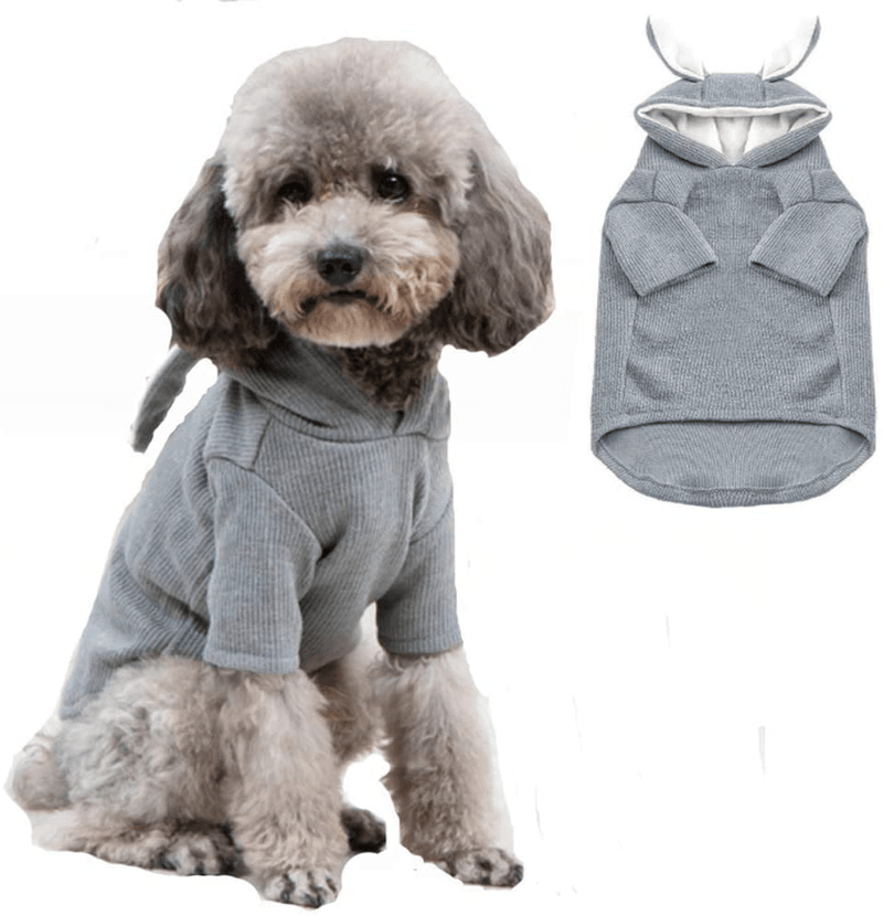 ANIAC Pet Hoodie Cat Rabbit Outfit with Bunny Ears Cute Sweatshirt Spring and Autumn Puppy Knitted Sweater Kitty Soft Knitwear Animals & Pet Supplies > Pet Supplies > Cat Supplies > Cat Apparel ANIAC Grey X-Small 
