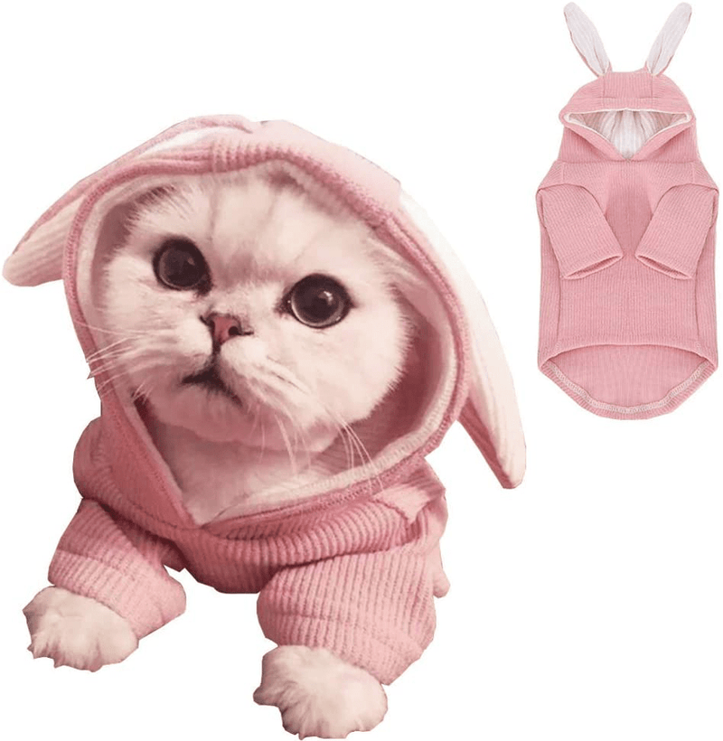 ANIAC Pet Hoodie Cat Rabbit Outfit with Bunny Ears Cute Sweatshirt Spring and Autumn Puppy Knitted Sweater Kitty Soft Knitwear Animals & Pet Supplies > Pet Supplies > Cat Supplies > Cat Apparel ANIAC Pink XXL-Large 