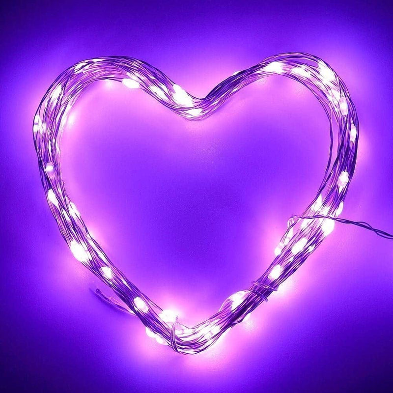 ANJAYLIA LED Fairy String Lights, 10Ft/3M 30Leds Firefly String Lights Garden Home Party Wedding Festival Decorations Crafting Battery Operated Lights(Warm White) Home & Garden > Lighting > Light Ropes & Strings ANJAYLIA Purple 10Ft 