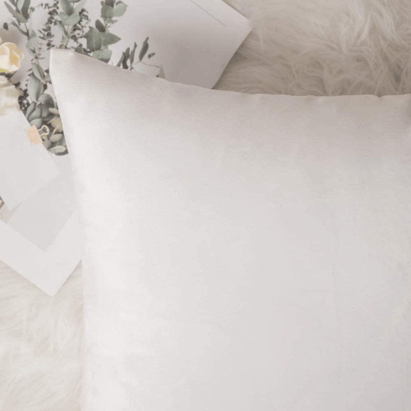 ANRODUO Pack of 2 Velvet Throw Pillow Covers Cushion Case Soft Decorative Solid Square Cozy Modern Home Decorations Pillowcase for Sofa Couch Bed Chair 18 X 18 Inch 45 X 45 Cm Pure White