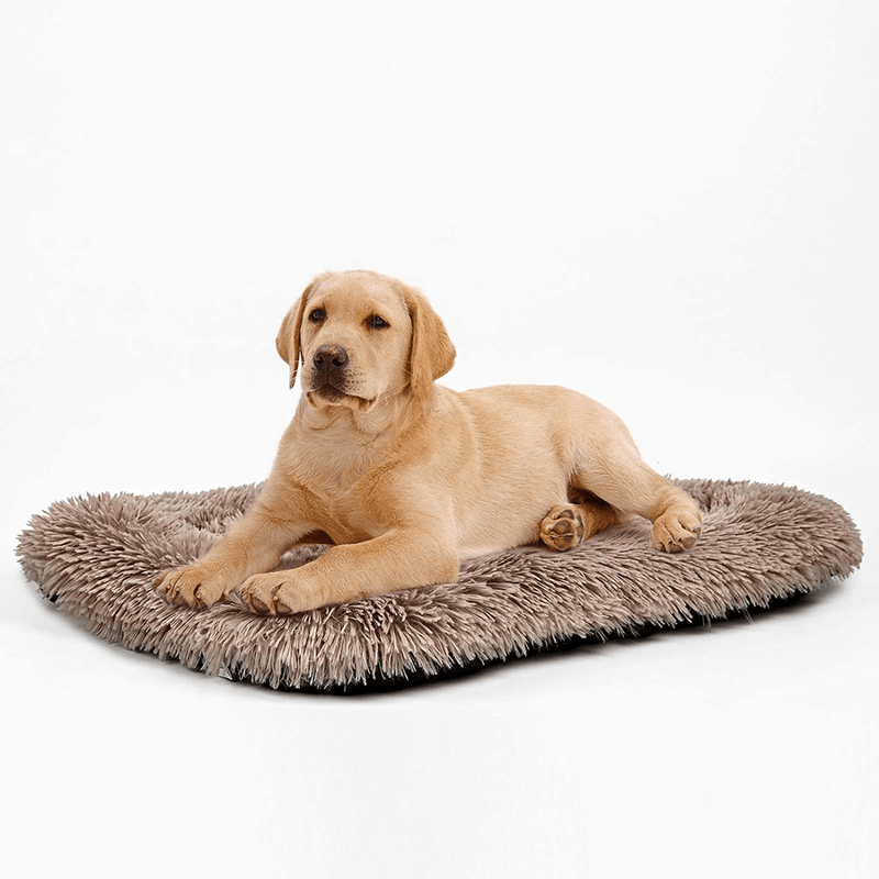 ANWA Dog Bed Medium Size Dogs, Washable Dog Crate Bed Cushion, Dog Crate Pad Large Dogs Animals & Pet Supplies > Pet Supplies > Dog Supplies > Dog Beds ANWA Camel Medium 