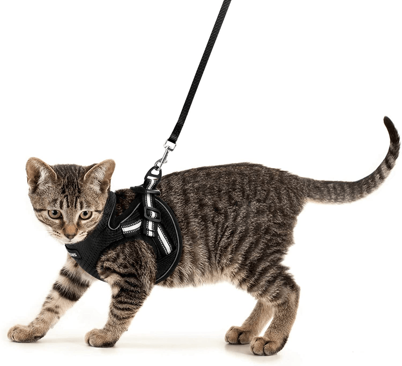 AOKCATS Cat Harness and Leash for Walking Escape Proof, Soft Adjustable Cat Leash and Harness Set with Reflective Strip & Hook and Loop Cat Vest Harness and Leash for Cats Kitten Small Pet Animals & Pet Supplies > Pet Supplies > Cat Supplies > Cat Apparel AOKCATS Black Medium (Pack of 1) 