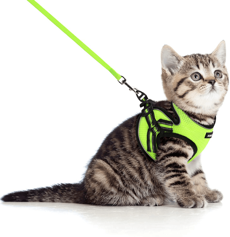 AOKCATS Cat Harness and Leash for Walking Escape Proof, Soft Adjustable Cat Leash and Harness Set with Reflective Strip & Hook and Loop Cat Vest Harness and Leash for Cats Kitten Small Pet Animals & Pet Supplies > Pet Supplies > Cat Supplies > Cat Apparel AOKCATS Green Medium (Pack of 1) 