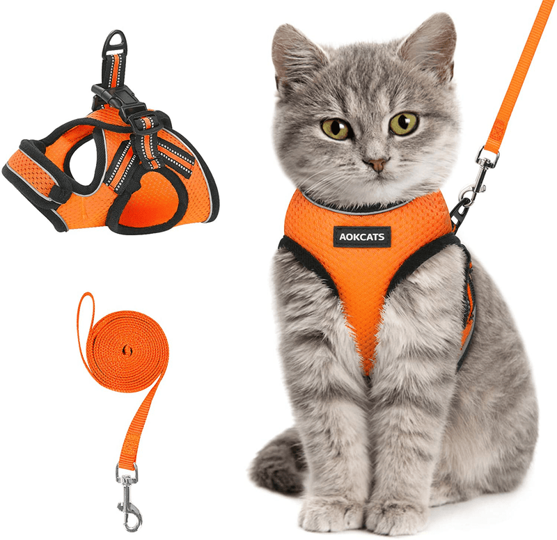 AOKCATS Cat Harness and Leash for Walking Escape Proof, Soft Adjustable Cat Leash and Harness Set with Reflective Strip & Hook and Loop Cat Vest Harness and Leash for Cats Kitten Small Pet Animals & Pet Supplies > Pet Supplies > Cat Supplies > Cat Apparel AOKCATS Orange Medium (Pack of 1) 