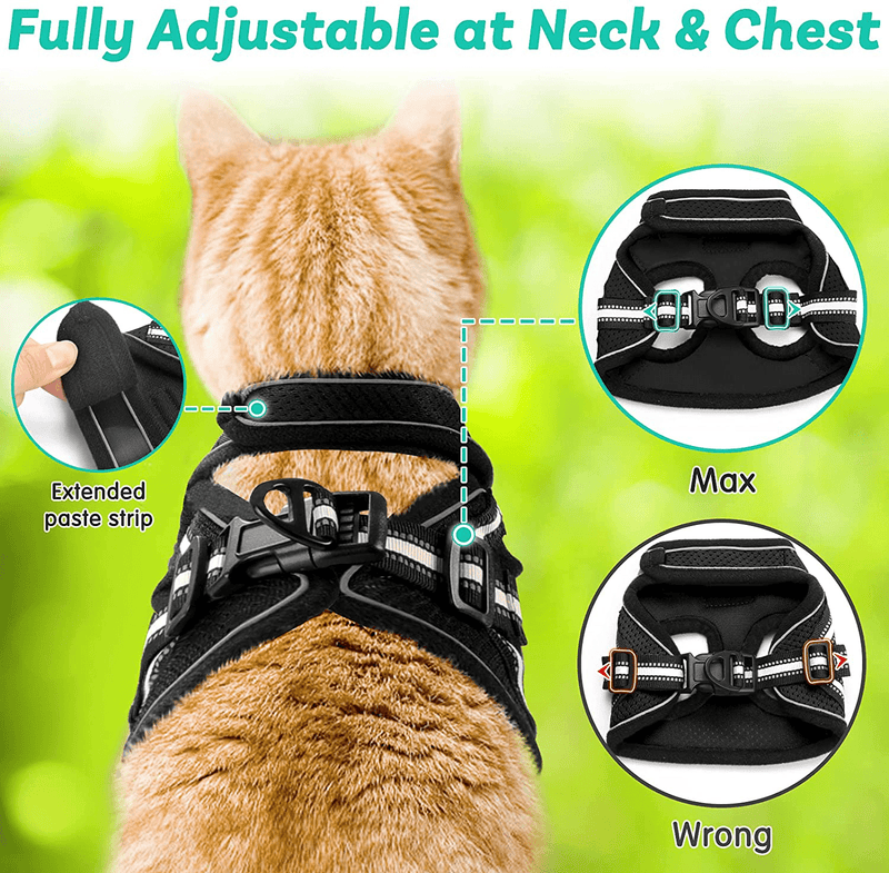 AOKCATS Cat Harness and Leash for Walking Escape Proof, Soft Adjustable Cat Leash and Harness Set with Reflective Strip & Hook and Loop Cat Vest Harness and Leash for Cats Kitten Small Pet Animals & Pet Supplies > Pet Supplies > Cat Supplies > Cat Apparel AOKCATS   