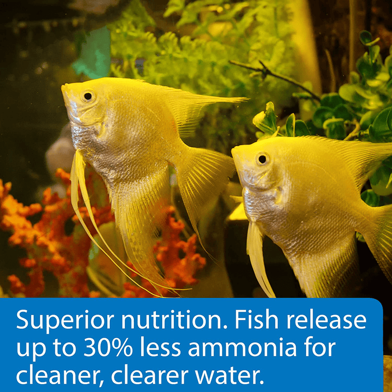 API FISH FOOD FLAKES, Formulated to help fish more readily use nutrients which means less waste and clean, clear water, Feed up to twice a day as much as they'll eat in 5 minutes Animals & Pet Supplies > Pet Supplies > Fish Supplies > Fish Food API   