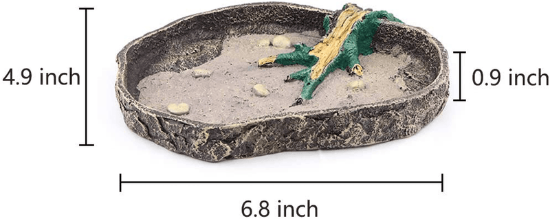 AQUA KT Reptile Terrarium Water Bowl Food Dish with Stable Base for Amphibian Lizard Snake Supplies