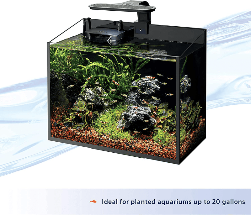 Aqueon Aquarium Clip-On LED Light Animals & Pet Supplies > Pet Supplies > Fish Supplies > Aquarium Lighting Aqueon   