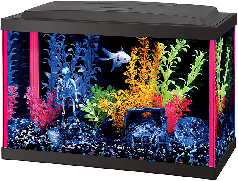 Aqueon Fish Aquarium Starter Kits LED NeoGlow Animals & Pet Supplies > Pet Supplies > Fish Supplies > Aquariums Aqueon 5.5 Gallon  