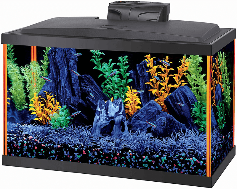 Aqueon Fish Aquarium Starter Kits LED NeoGlow Animals & Pet Supplies > Pet Supplies > Fish Supplies > Aquariums Aqueon 10 Gallon  