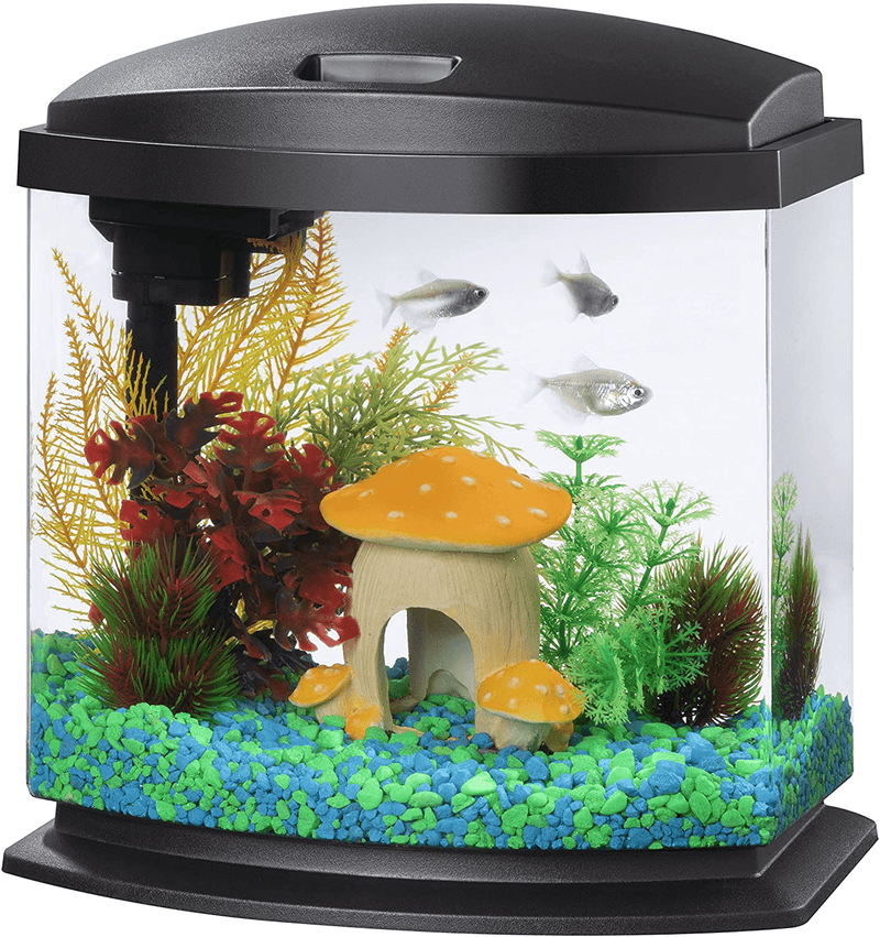 Aqueon LED MiniBow Aquarium Kit with SmartClean Technology, Black, 2.5 Gallon Animals & Pet Supplies > Pet Supplies > Fish Supplies > Aquariums Aqueon Black 2.5 Gallon (ECOM) 