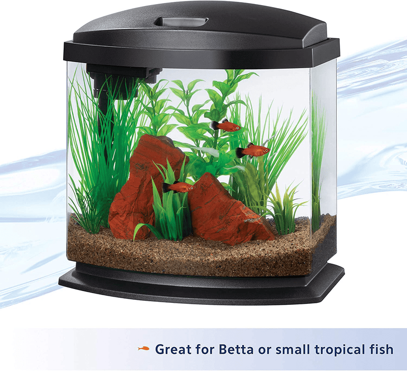 Aqueon LED MiniBow Aquarium Kit with SmartClean Technology, Black, 2.5 Gallon Animals & Pet Supplies > Pet Supplies > Fish Supplies > Aquariums Aqueon   