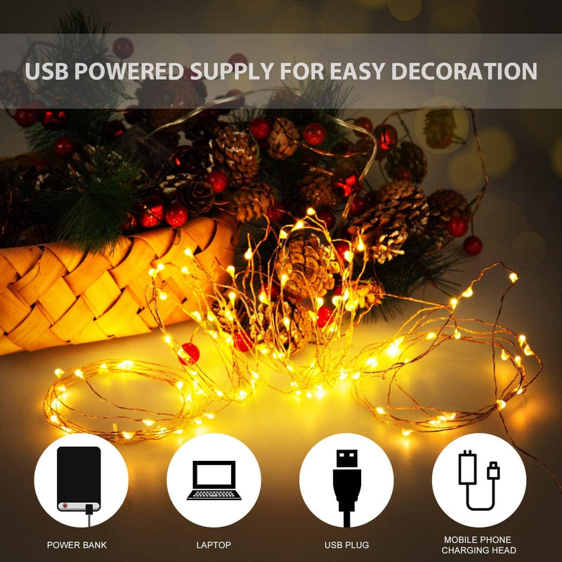 Ariceleo USB LED Fairy String Light, 1 Pack Copper Wire Fairy Lights for Indoor, Bedroom Festival Christmas Wedding Party Patio Decorative Window with USB Interface (16Ft./5M,Warm White) Home & Garden > Lighting > Light Ropes & Strings Ariceleo   