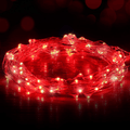 Ariceleo USB Powered Fairy Lights, 50 Led 16 Ft. USB Copper Wire USB String Lights for Bedroom Christmas Decoration Wedding Party Firefly Lights (Red,1 Pack) Home & Garden > Decor > Seasonal & Holiday Decorations Ariceleo Red 1Pack(33ft.) 