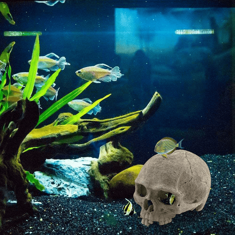 AROGEAR Aquarium Reptile House Resin Skull, Fish Tank Decoration Cave Family Daily Decoration Animals & Pet Supplies > Pet Supplies > Reptile & Amphibian Supplies AROGEAR   