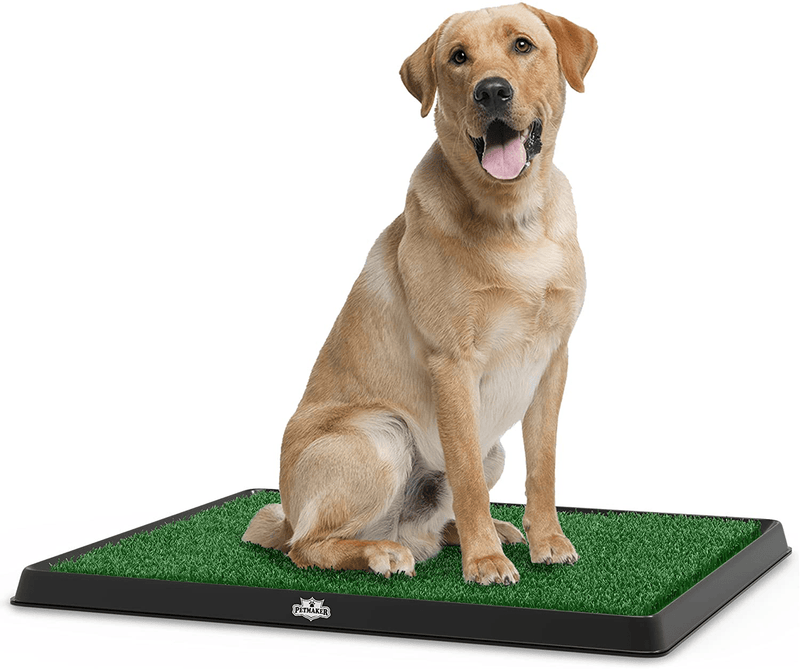 Artificial Grass Puppy Pad Collection - for Dogs and Small Pets – Portable Training Pad with Tray – Dog Housebreaking Supplies by PETMAKER Animals & Pet Supplies > Pet Supplies > Dog Supplies > Dog Diaper Pads & Liners PAW Potty Tray Medium 