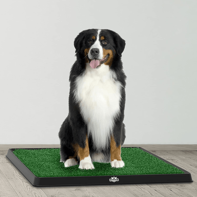 Artificial Grass Puppy Pad Collection - for Dogs and Small Pets – Portable Training Pad with Tray – Dog Housebreaking Supplies by PETMAKER Animals & Pet Supplies > Pet Supplies > Dog Supplies > Dog Diaper Pads & Liners PAW   