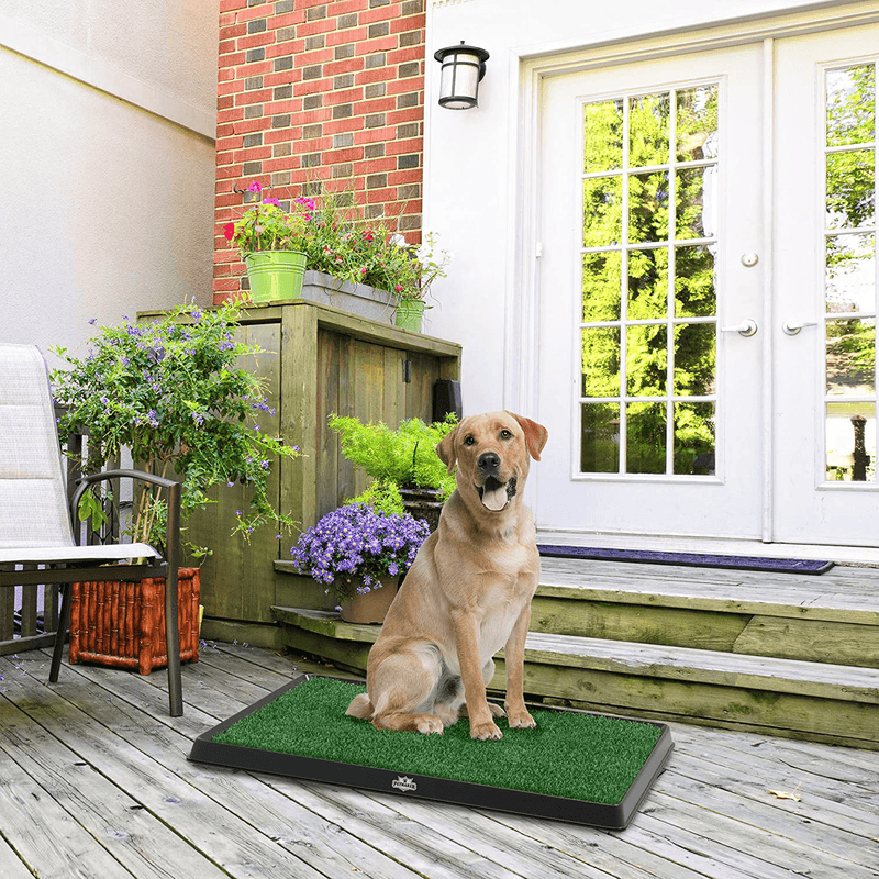 Artificial Grass Puppy Pad Collection - for Dogs and Small Pets – Portable Training Pad with Tray – Dog Housebreaking Supplies by PETMAKER Animals & Pet Supplies > Pet Supplies > Dog Supplies > Dog Diaper Pads & Liners PAW   