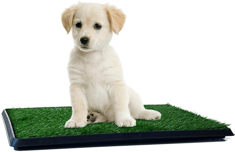 Artificial Grass Puppy Pad Collection - for Dogs and Small Pets – Portable Training Pad with Tray – Dog Housebreaking Supplies by PETMAKER Animals & Pet Supplies > Pet Supplies > Dog Supplies > Dog Diaper Pads & Liners PAW Potty Tray Small 