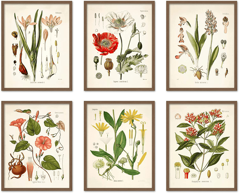 ARTIVO Vintage Butterfly Art Prints 6 Set 8X10, Butterflies Vintage Poster Prints, Cottagecore Aesthetic Decor, Vintage Wall Collage, Wall Art Posters, Vintage Nature Posters Home & Garden > Decor > Artwork > Posters, Prints, & Visual Artwork Artivo Vintage flowers  