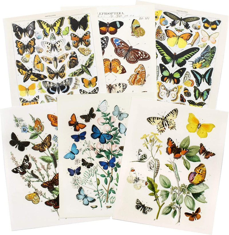 ARTIVO Vintage Butterfly Art Prints 6 Set 8X10, Butterflies Vintage Poster Prints, Cottagecore Aesthetic Decor, Vintage Wall Collage, Wall Art Posters, Vintage Nature Posters Home & Garden > Decor > Artwork > Posters, Prints, & Visual Artwork Artivo   