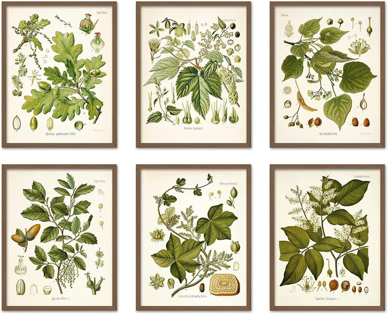 ARTIVO Vintage Butterfly Art Prints 6 Set 8X10, Butterflies Vintage Poster Prints, Cottagecore Aesthetic Decor, Vintage Wall Collage, Wall Art Posters, Vintage Nature Posters Home & Garden > Decor > Artwork > Posters, Prints, & Visual Artwork Artivo Vintage greenery  