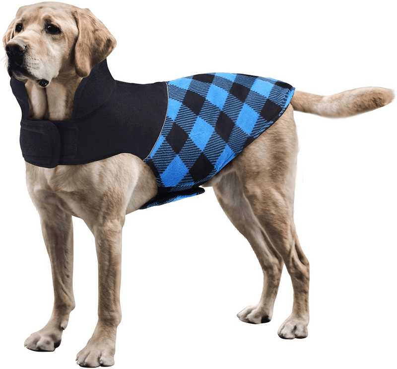 ASENKU Dog Winter Coat, Reversible Plaid Pet Jacket, Waterproof Windproof Reflective Puppy Clothes for Cold Weather, Comfortable Outdoor & Indoor Apparel, Warm Cozy Vest for Small Medium Large Dogs Animals & Pet Supplies > Pet Supplies > Dog Supplies > Dog Apparel ASENKU Blue XS: Chest Girth (9.45"-13.39") 