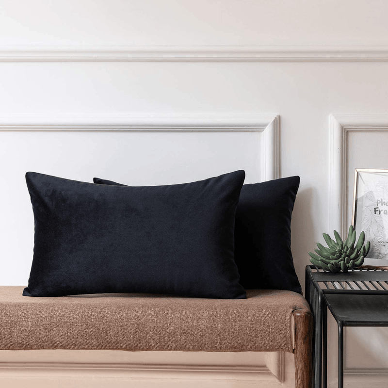 Ashler Pack of 2 Soft Velvet Decorative Throw Pillow Cushion Cover Sets Light Blue 18 X 18 Inches 45 X 45 Cm Home & Garden > Decor > Chair & Sofa Cushions Ashler Home Deco Black 12 X 20 inch 