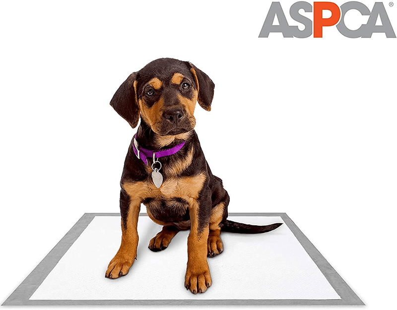 ASPCA Dog Training Pads Animals & Pet Supplies > Pet Supplies > Dog Supplies > Dog Diaper Pads & Liners ASPCA   