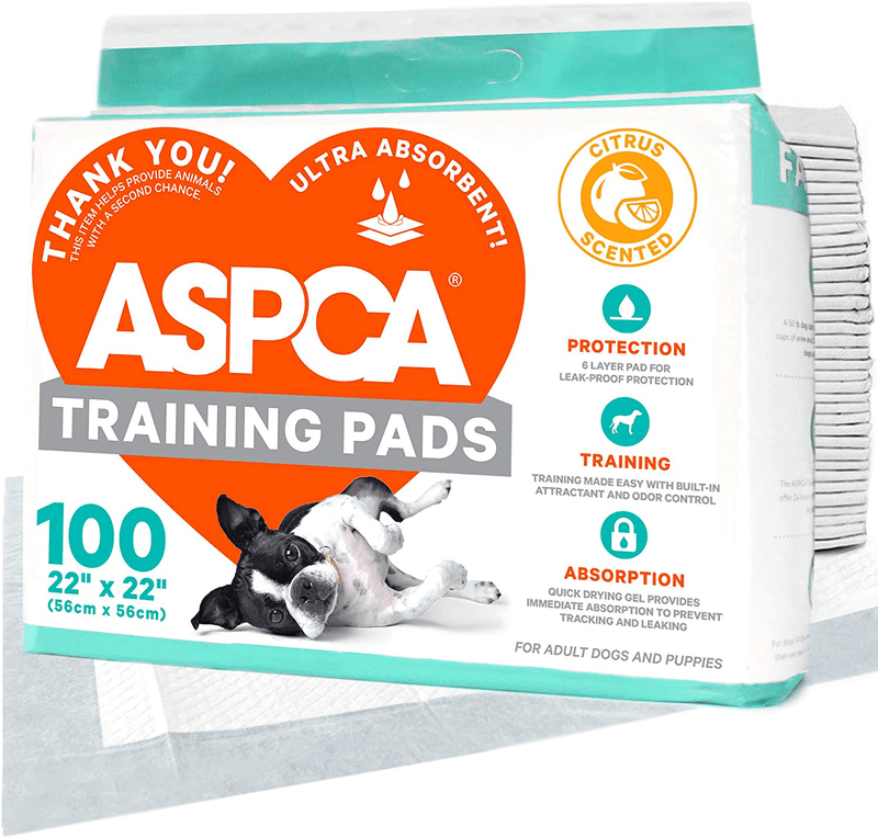 ASPCA Dog Training Pads Animals & Pet Supplies > Pet Supplies > Dog Supplies > Dog Diaper Pads & Liners ASPCA Citrus Scent 22" x 22" - Pack of 100 