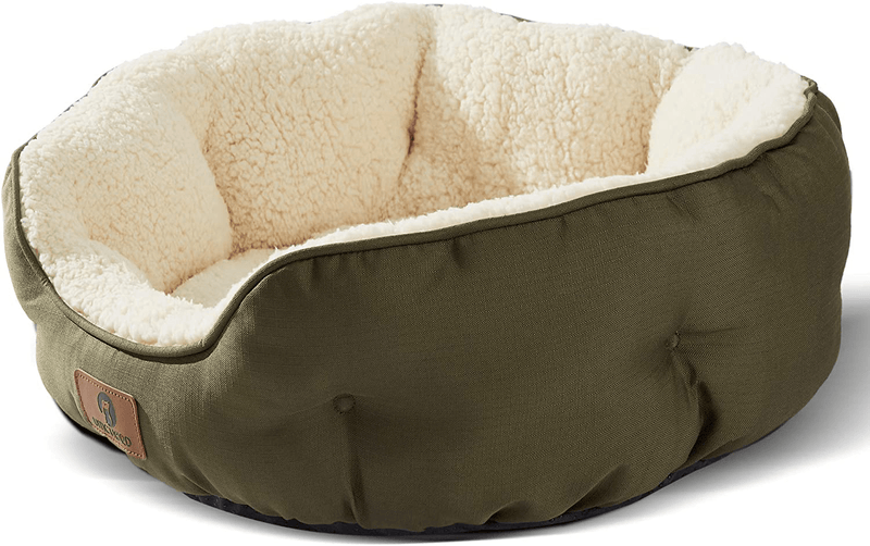 Asvin Dog Bed, Cat Beds for Indoor Cats, Pet Bed for Puppy and Kitty, Extra Soft & Machine Washable with Anti-Slip & Water-Resistant Oxford Bottom Animals & Pet Supplies > Pet Supplies > Cat Supplies > Cat Beds Asvin Green Small (Pack of 1) 