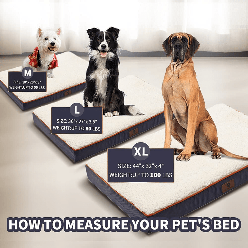 Asvin Memory Foam Orthopedic Dog Bed for Medium, Large, Extra Large Dogs, Waterproof Dog Crate Mat with Washable Removable Cover, Extra Soft Rectangle Dog Mattress for Relieve Joint Pain