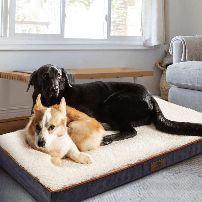 Asvin Memory Foam Orthopedic Dog Bed for Medium, Large, Extra Large Dogs, Waterproof Dog Crate Mat with Washable Removable Cover, Extra Soft Rectangle Dog Mattress for Relieve Joint Pain Animals & Pet Supplies > Pet Supplies > Dog Supplies > Dog Beds Asvin   