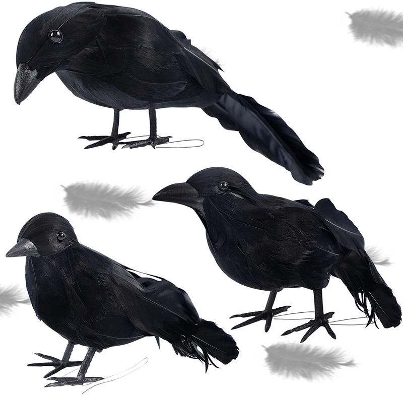 ATDAWN 3 Pack Halloween Black Feathered Crows, Realistic Looking Raven, Halloween Prop Decor, Spooky Halloween Party Home Decorations Arts & Entertainment > Party & Celebration > Party Supplies ATDAWN Default Title  