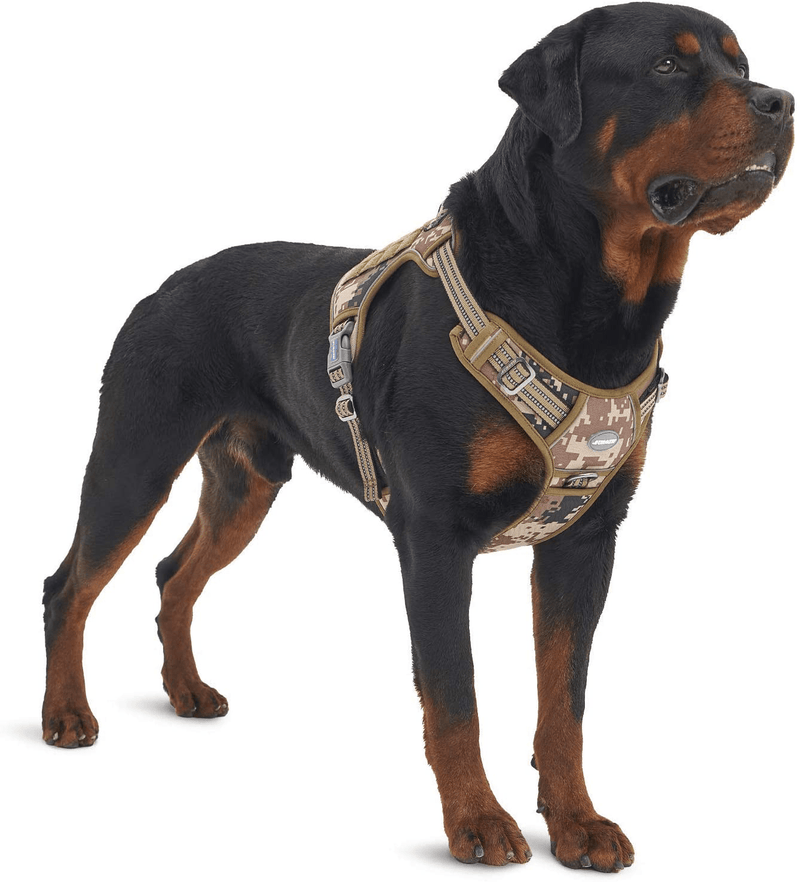Auroth Tactical Dog Harness for Small Medium Large Dogs No Pull Adjustable Pet Harness Reflective K9 Working Training Easy Control Pet Vest Military Service Dog Harnesses Animals & Pet Supplies > Pet Supplies > Dog Supplies Auroth Pets Desert Camo XL(Neck:20-31",Chest:26-42") 