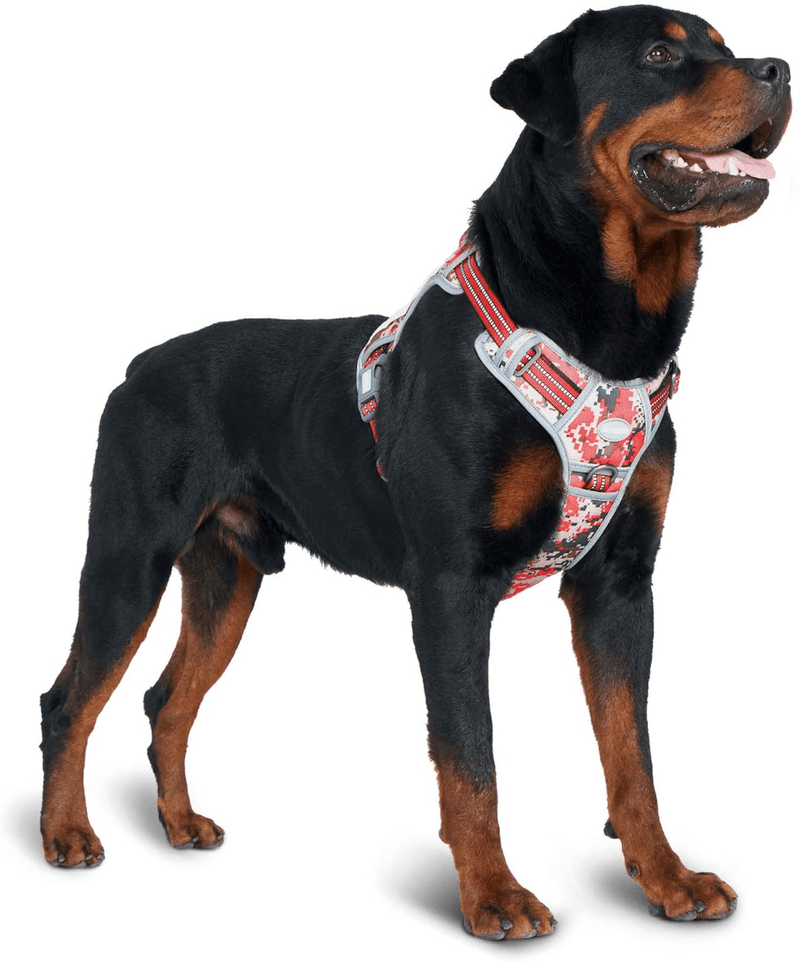Auroth Tactical Dog Harness for Small Medium Large Dogs No Pull Adjustable Pet Harness Reflective K9 Working Training Easy Control Pet Vest Military Service Dog Harnesses Animals & Pet Supplies > Pet Supplies > Dog Supplies Auroth Pets Red Camo L(Neck:18-29",Chest:24-37") 